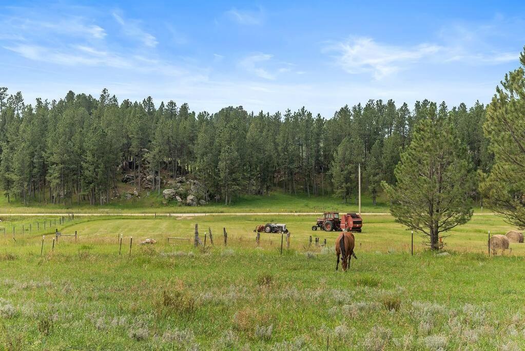 Papa'S Place On Willow Creek Custer Exterior foto